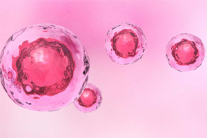 Stem cells 